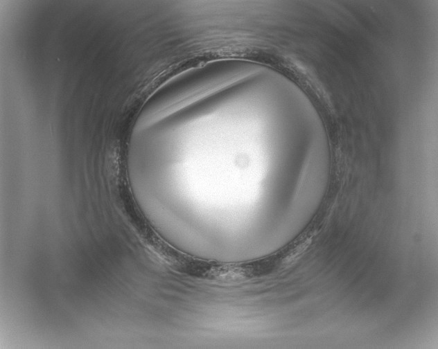 X0000052990113200508051118