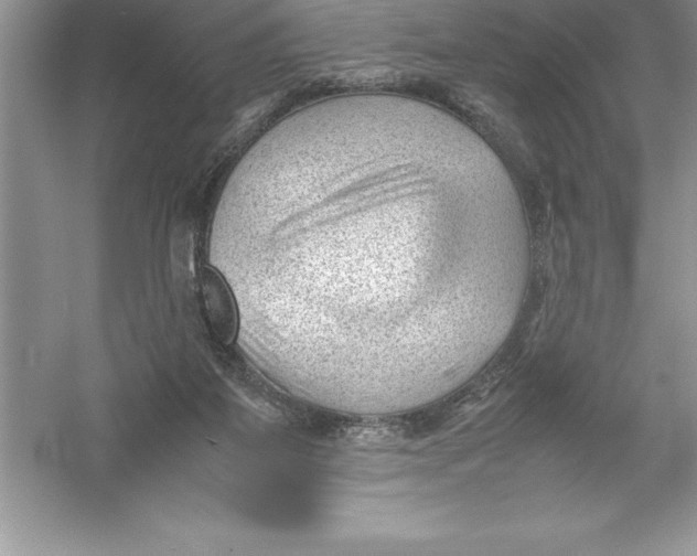 X0000052990115200508051118