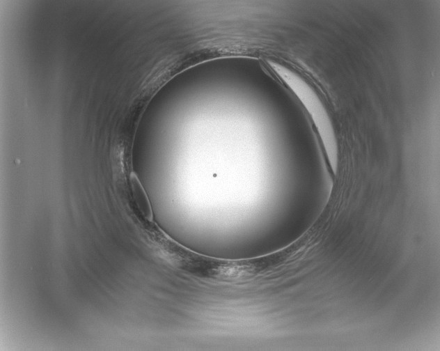 X0000052990117200508051118