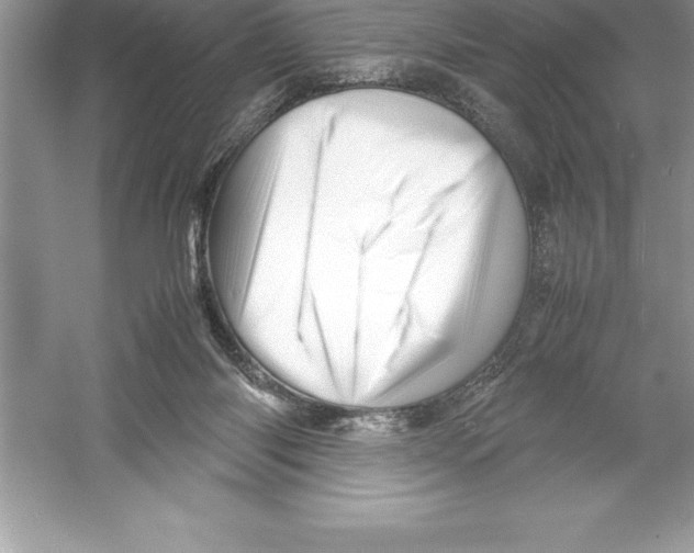 X0000052990118200508051118