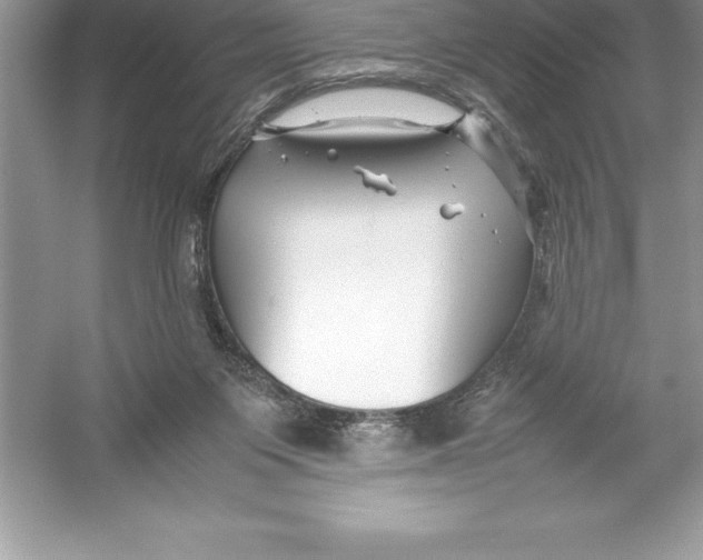 X0000052990119200508051118