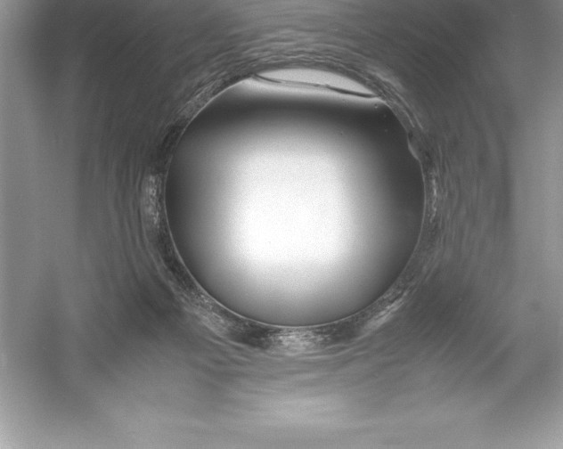 X0000052990121200508051118