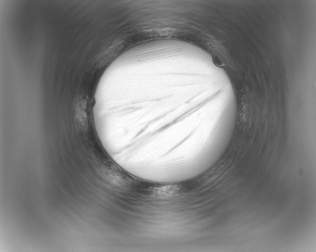 X0000052990122200508051118