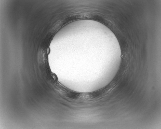 X0000052990123200508051118