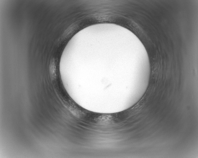 X0000052990124200508051118