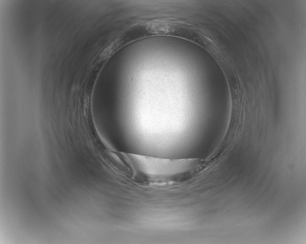 X0000052990125200508051118