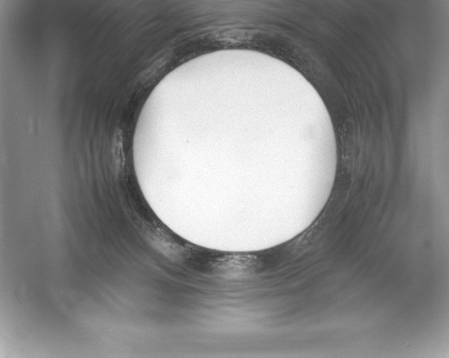 X0000052990128200508051118