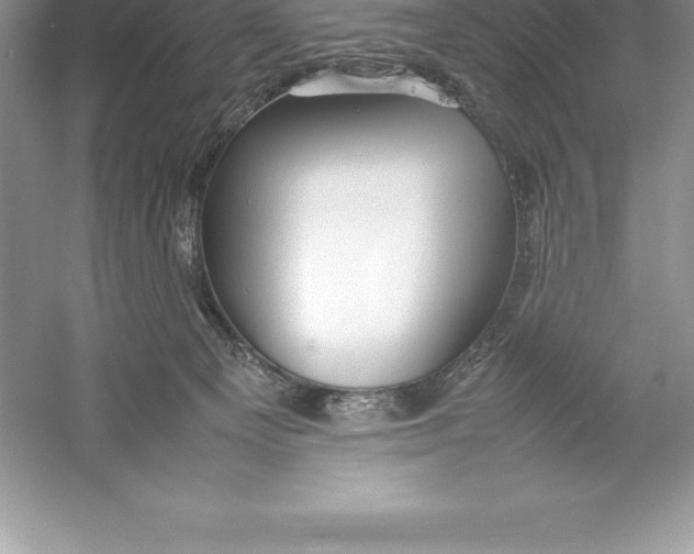 X0000052990129200508051118