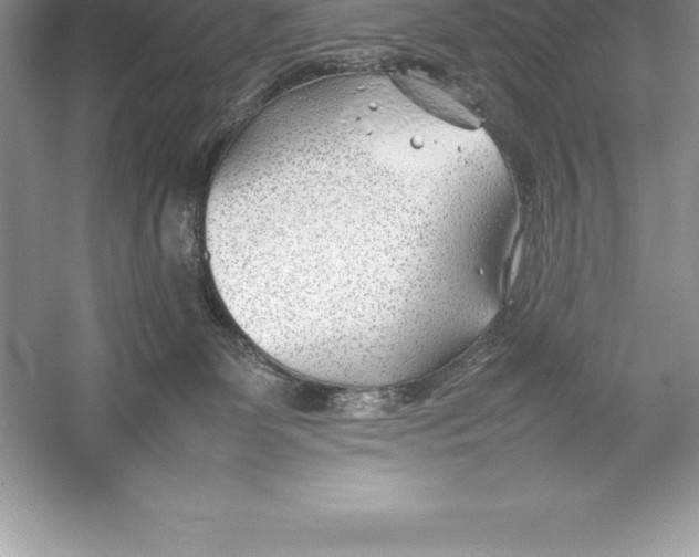 X0000052990131200508051118