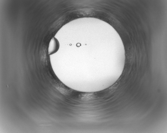 X0000052990132200508051118