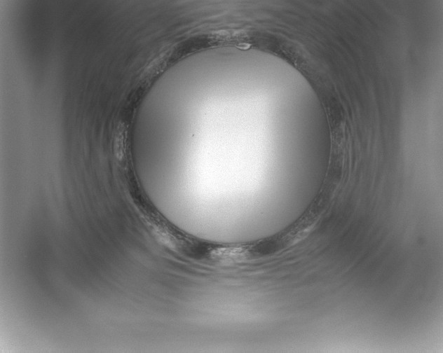 X0000052990133200508051118