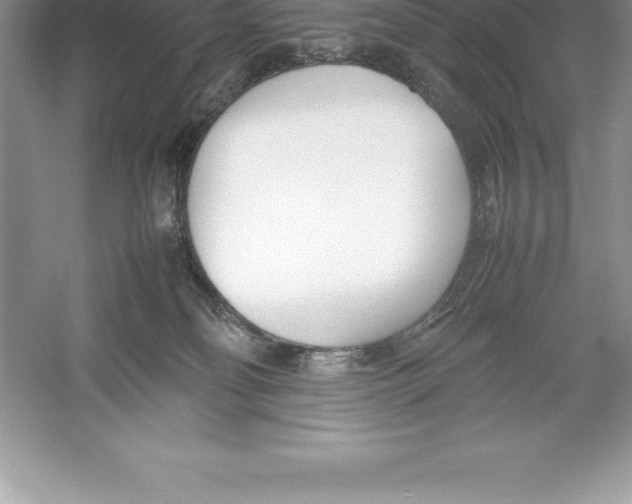 X0000052990134200508051118