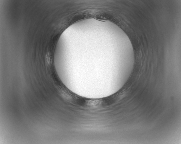 X0000052990135200508051118