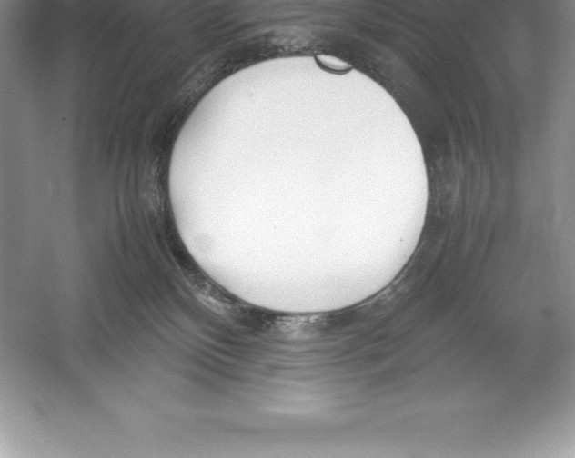 X0000052990136200508051118