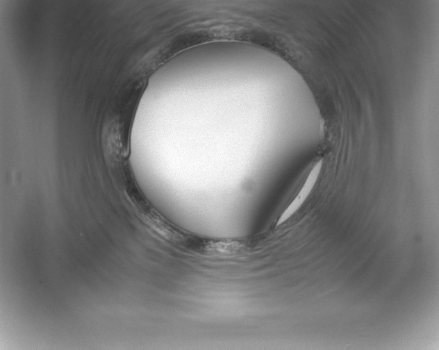 X0000052990137200508051118