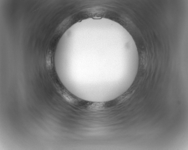 X0000052990138200508051118