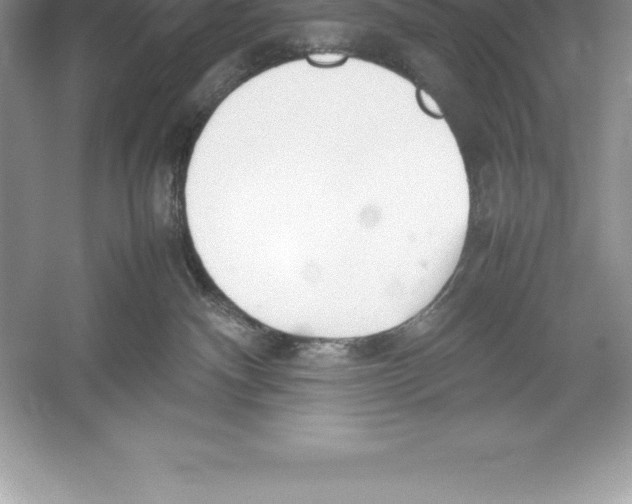 X0000052990140200508051118