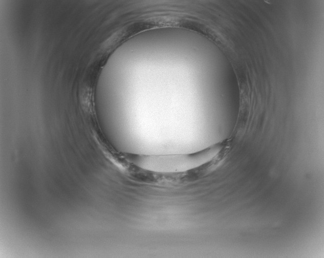 X0000052990141200508051118