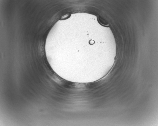 X0000052990144200508051118