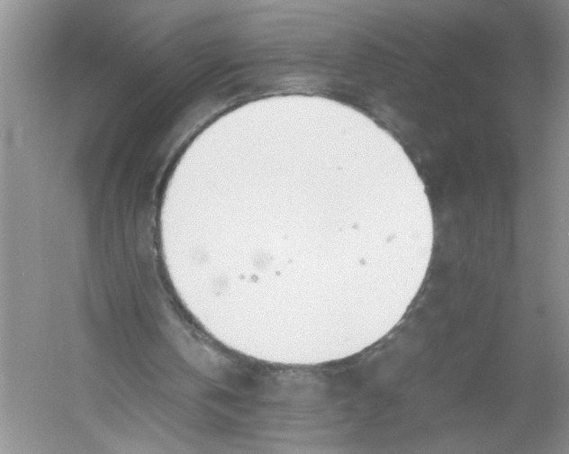 X0000052990146200508051117