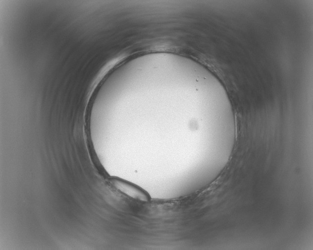 X0000052990147200508051117