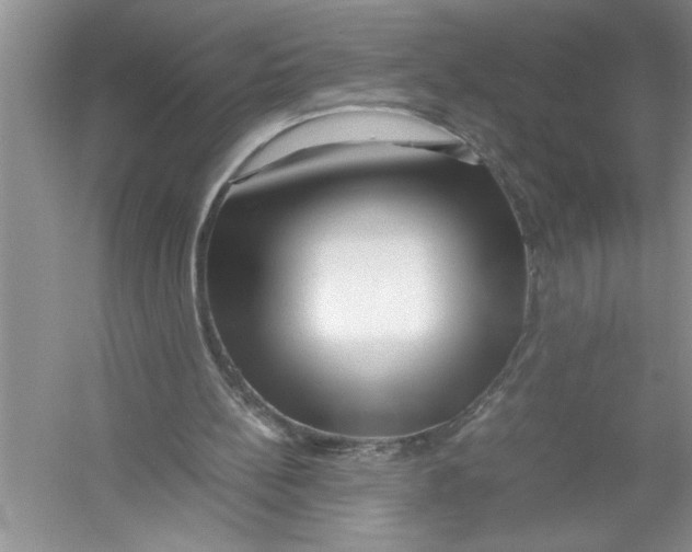 X0000052990148200508051117