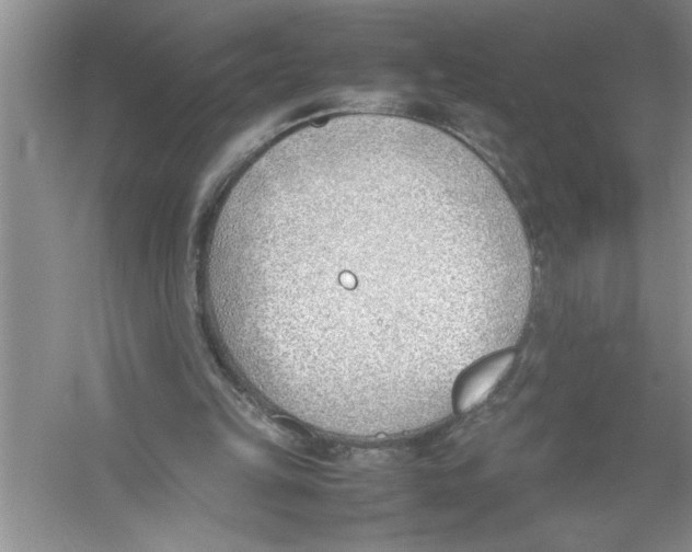 X0000052990149200508051117