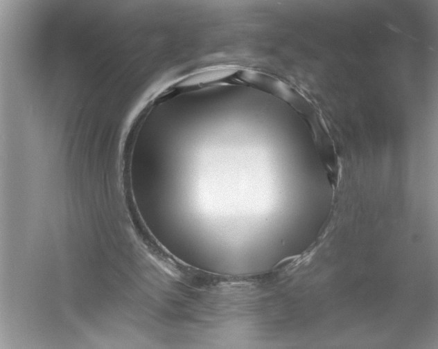 X0000052990150200508051117