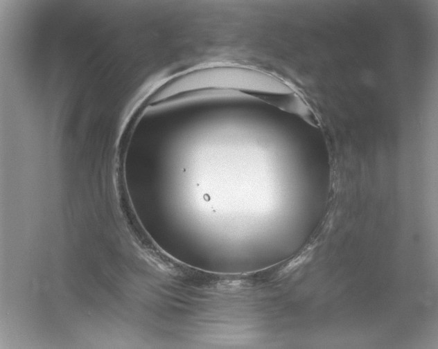 X0000052990152200508051117