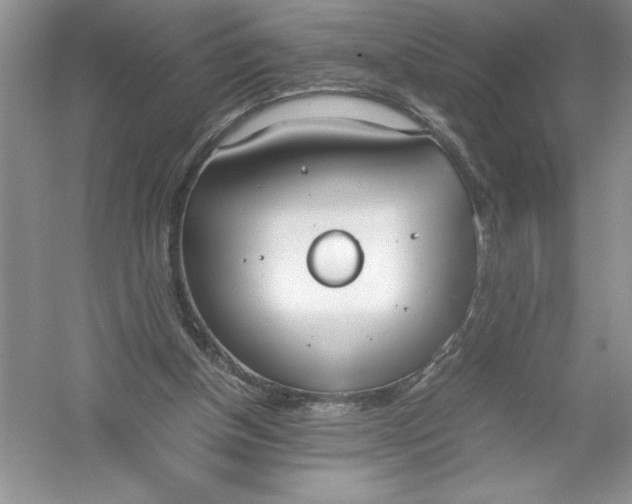 X0000052990154200508051117