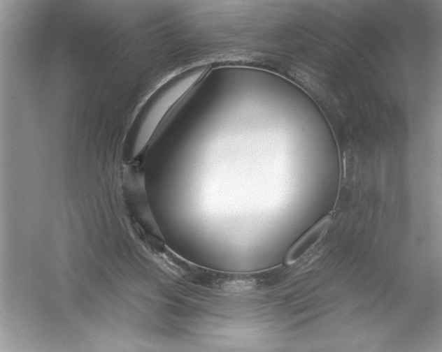 X0000052990156200508051117