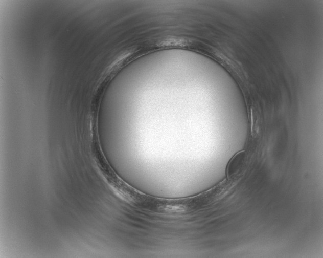 X0000052990157200508051117