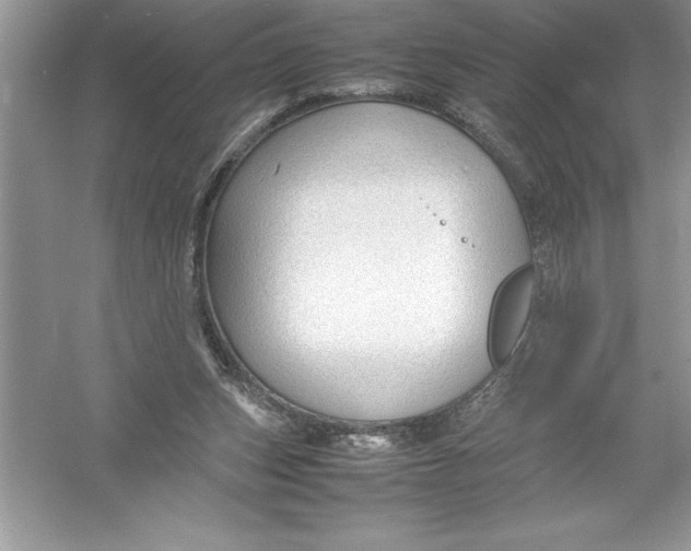 X0000052990159200508051117