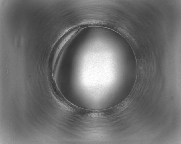 X0000052990160200508051117