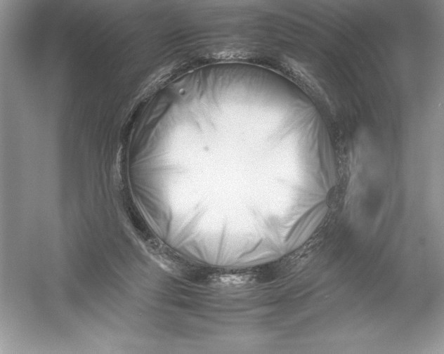 X0000052990163200508051117