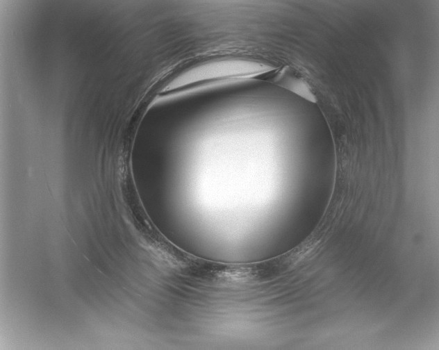 X0000052990164200508051117