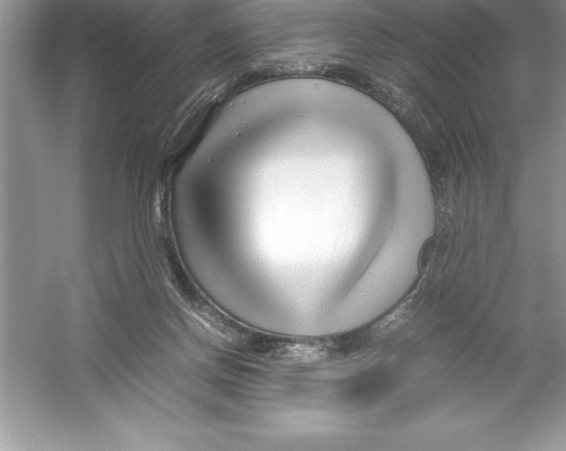 X0000052990166200508051117