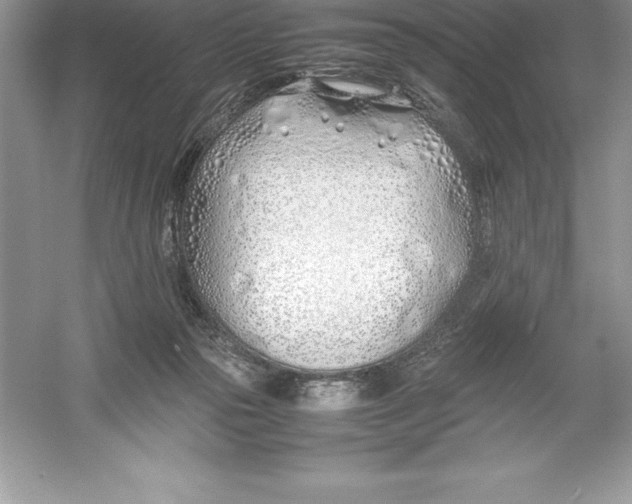 X0000052990169200508051117