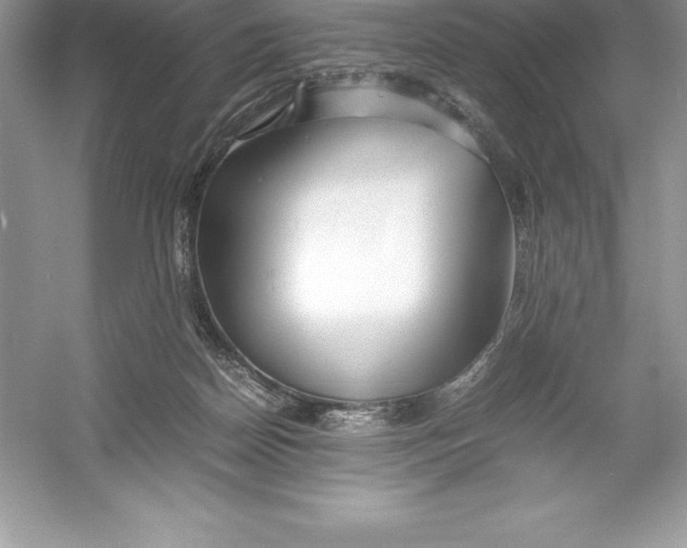 X0000052990170200508051117