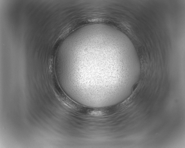 X0000052990171200508051117