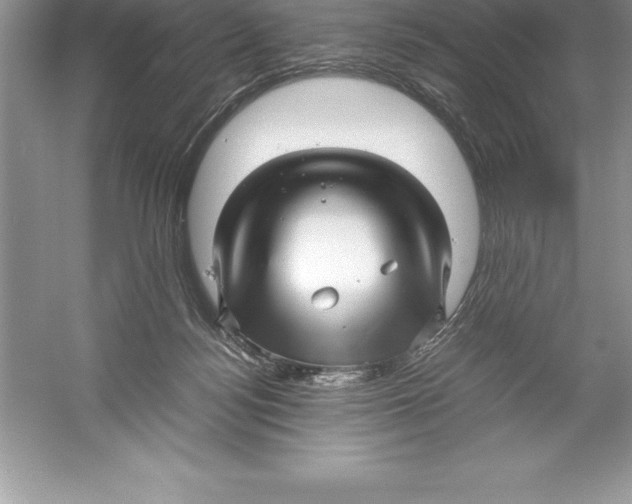 X0000052990172200508051117