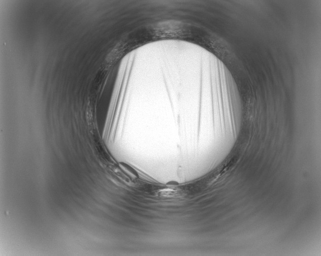 X0000052990173200508051117