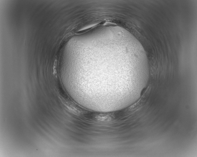 X0000052990175200508051117