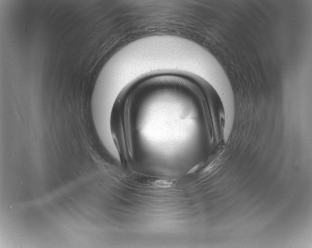 X0000052990176200508051117