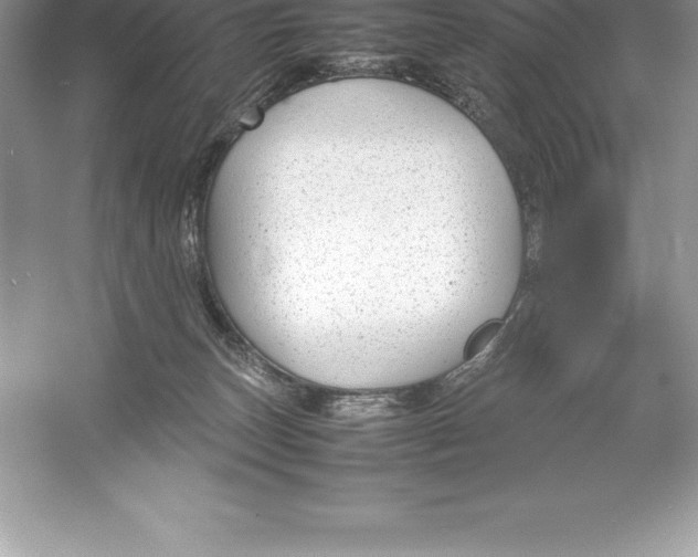 X0000052990179200508051117