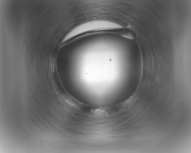 X0000052990180200508051117