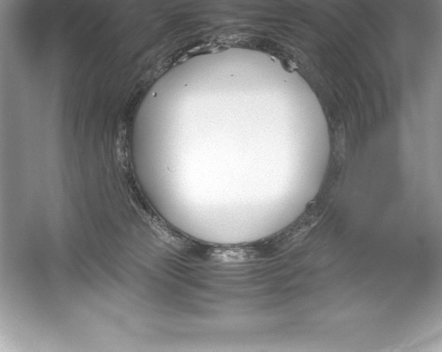 X0000052990181200508051117