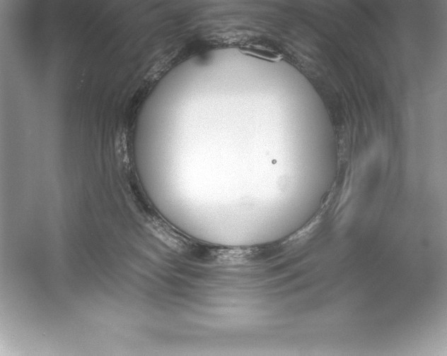 X0000052990182200508051117