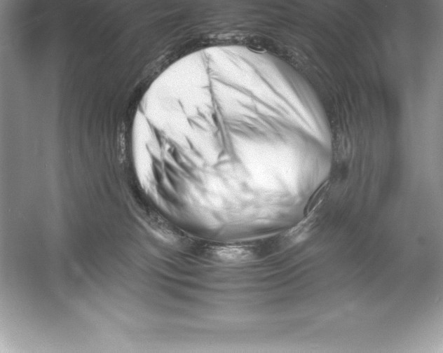 X0000052990183200508051117