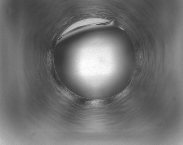 X0000052990184200508051117